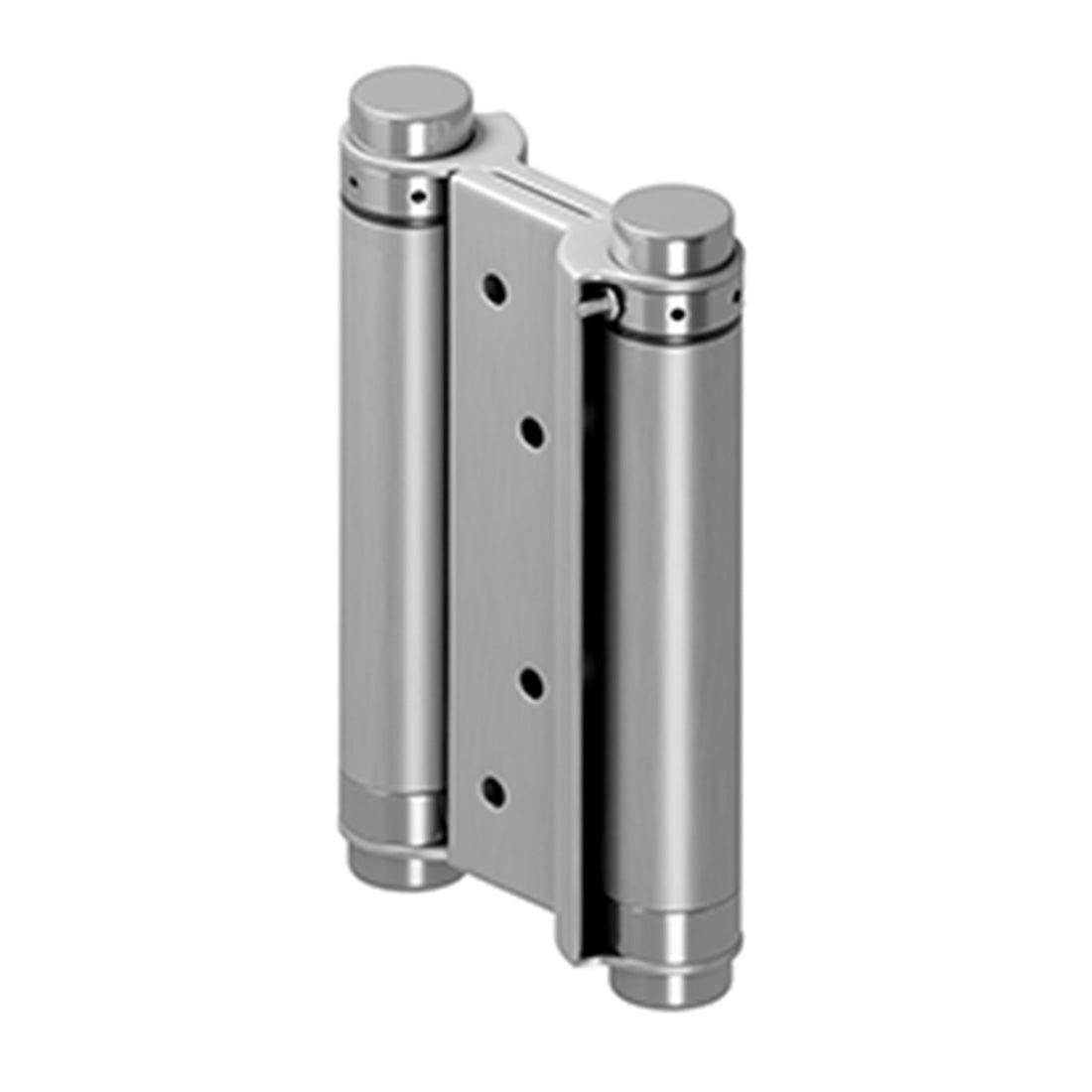 Stainless Steel Double Action Spring Hinge